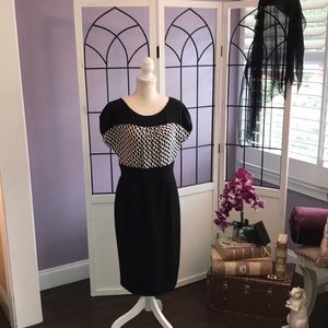 Woman’s Classy career styled dress.